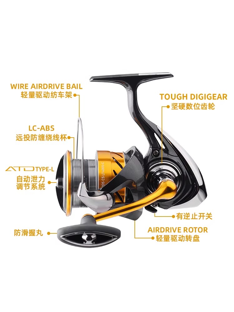 DAIWA REVROS CS LT 스피닝 낚시 릴, 베 - Daiwa Reel Bg 리뷰 및 가격